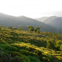 Panorama lors de flânerie gourmande en Cévennes pour déficients visuels. rando âne en famille loin de la foule du chemin de Stevenson