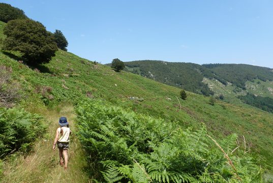 Petit fille lors d'une randonnée en Cévennes