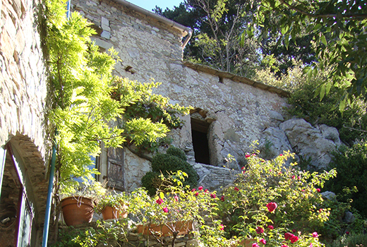 maison en pierre entourée de fleurs et de plantes grimpantes lors du séjour jeunesse en Cévennes