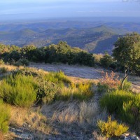 Séjour Immersion nature en toute tranquillité lors du séjour adapté au handicap mental en France