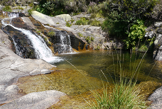 les belles rivières du parc peneda geres avec de petites cascades sur la gauche de l'image