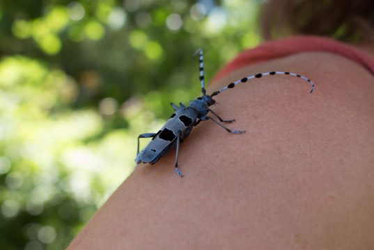 29072019-IMG_3207 29072019-IMG_3207