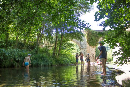 29072019-IMG_3252 29072019-IMG_3252