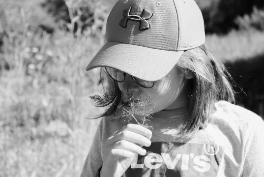 Séjours aventuriers des bois 8-12 ans titre à trouver 6 Séjours aventuriers des bois 8-12 ans titre à trouver 6