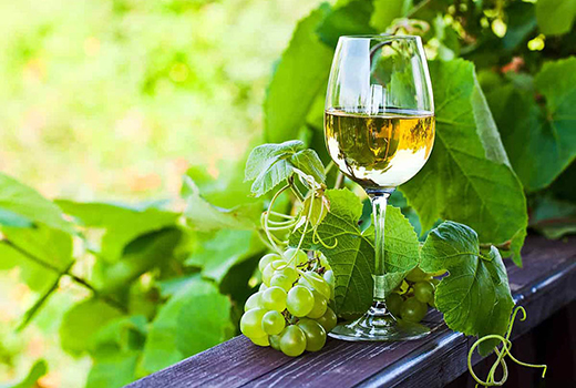 Photo d'un verre de vin blanc prise dans la vigne, à côté d'une grappe de raisin