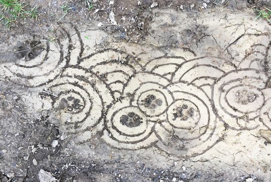 séjour famille cévennes