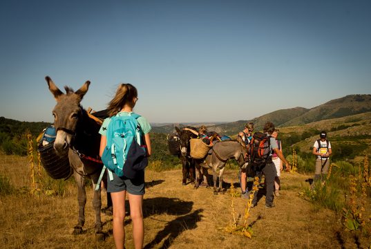sejour scolaire pnc 3 sejour scolaire pnc 3