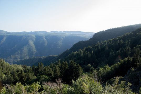 Cévennes