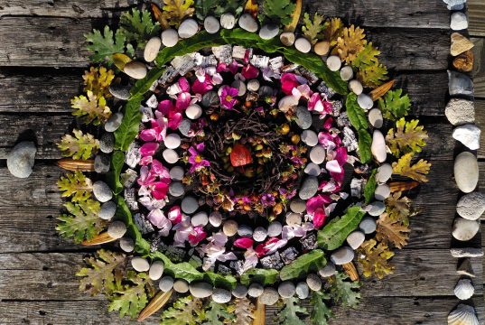 IMG_20231028_105007 Copyright Dadao