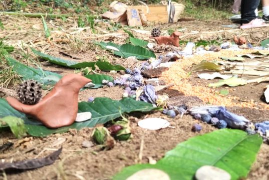 séjour art sauvage séjour art sauvage