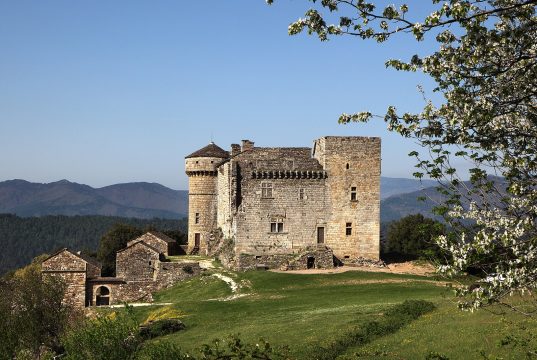 Le_château_d'Aujac_sur_éperon_barré