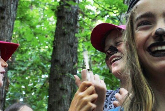 Arbore tes sens (3) - séjour foret