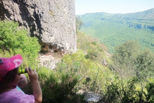 première colo premier pas vers l'aventure 6