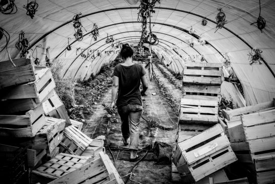 Copyright Anna Saule Copyright Anna Saule