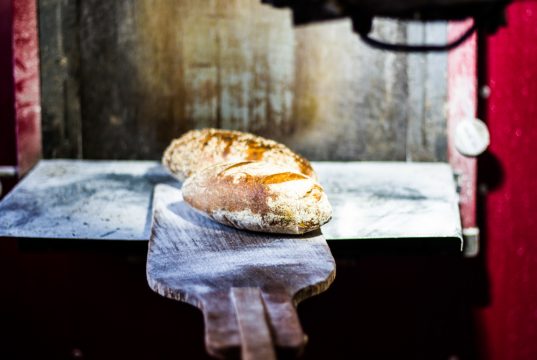 Copyright Anna Saule Copyright Anna Saule