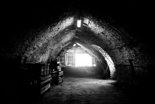 Copyright Anna Saule Copyright Anna Saule