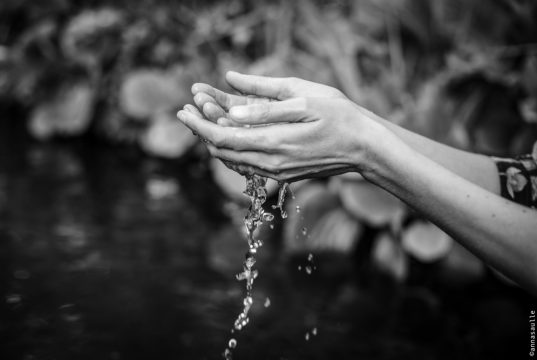 Copyright Anna Saule Copyright Anna Saule