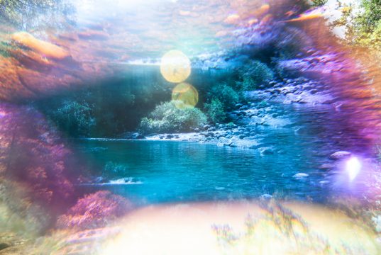 Copyright Anna Saule Copyright Anna Saule