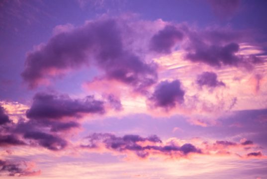 Copyright Anna Saule Copyright Anna Saule