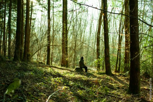 Copyright Anna Saule Copyright Anna Saule