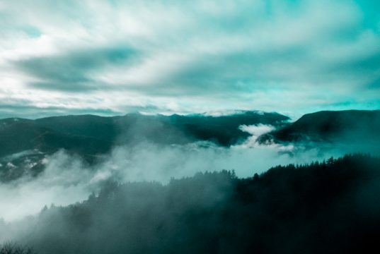 Copyright Anna Saule Copyright Anna Saule