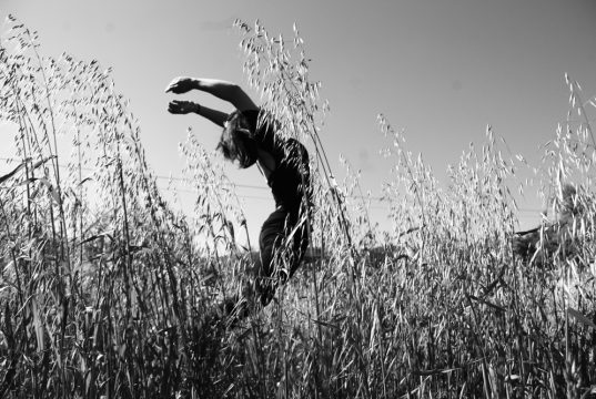 Copyright Anna Saule Copyright Anna Saule