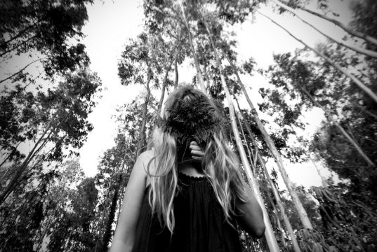 Copyright Anna Saule Copyright Anna Saule